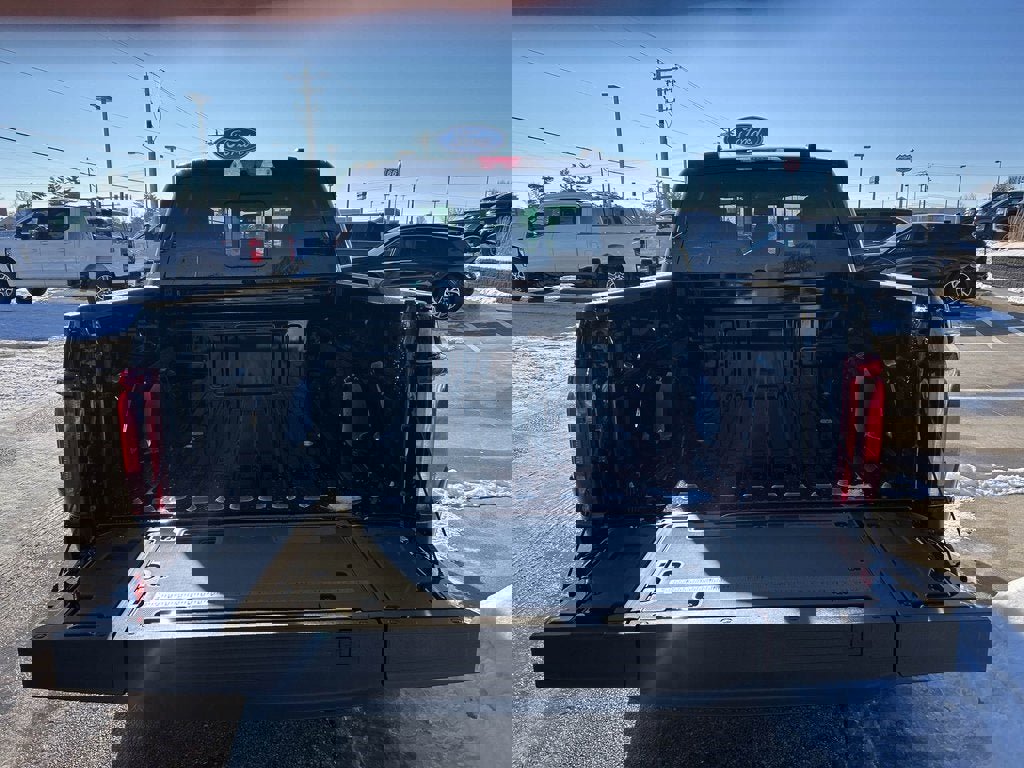New 2025 Ford F150 Platinum image 15