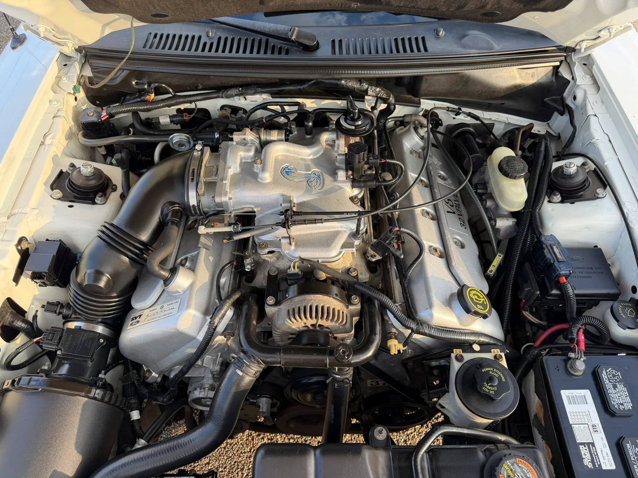 Used 1999 Ford Mustang Cobra RWD image 40