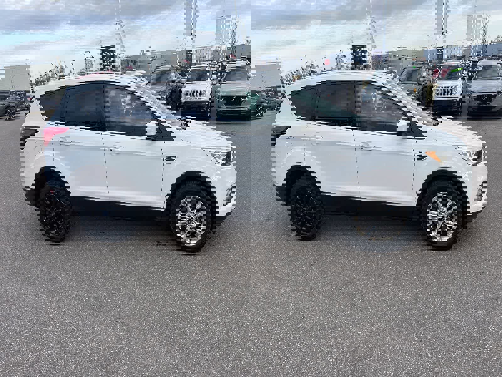 Used 2019 Ford Escape SE image 4