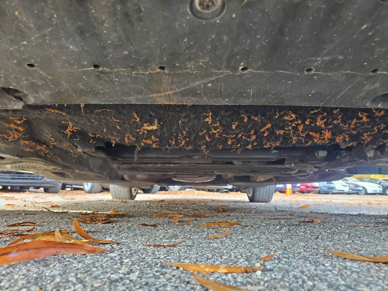 Used 2014 Audi A6 2.0T Premium Plus w/ Premium Plus Package image 20