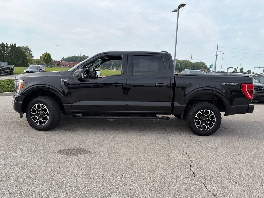 Used 2023 Ford F150 XLT w/ Equipment Group 302A High AWD/4WD image 4