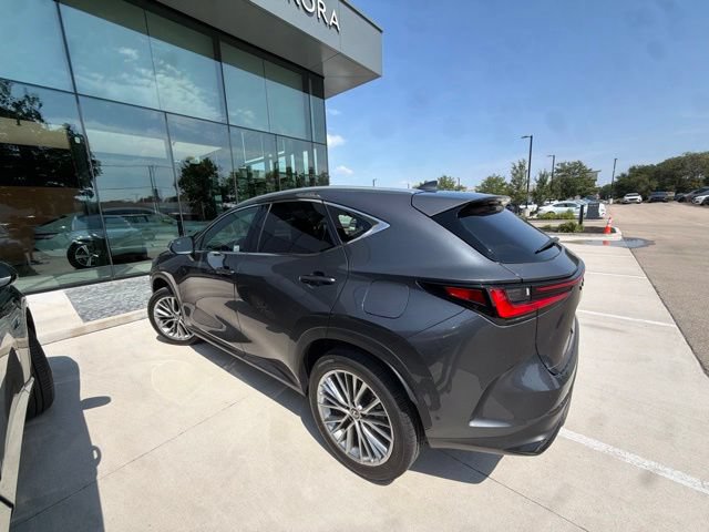 Used 2026 Lexus NX 350 AWD w/ Accessory Package (2T) image 7