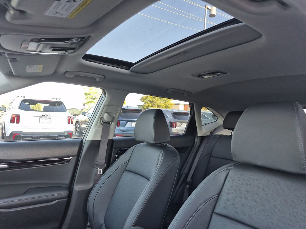 New 2026 Kia Seltos SX w/ SX Sunroof Package image 11