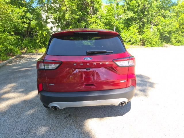 Used 2020 Ford Escape SE AWD/4WD image 6