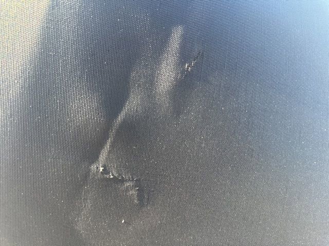 Used 1997 Ford Mustang Cobra RWD image 12