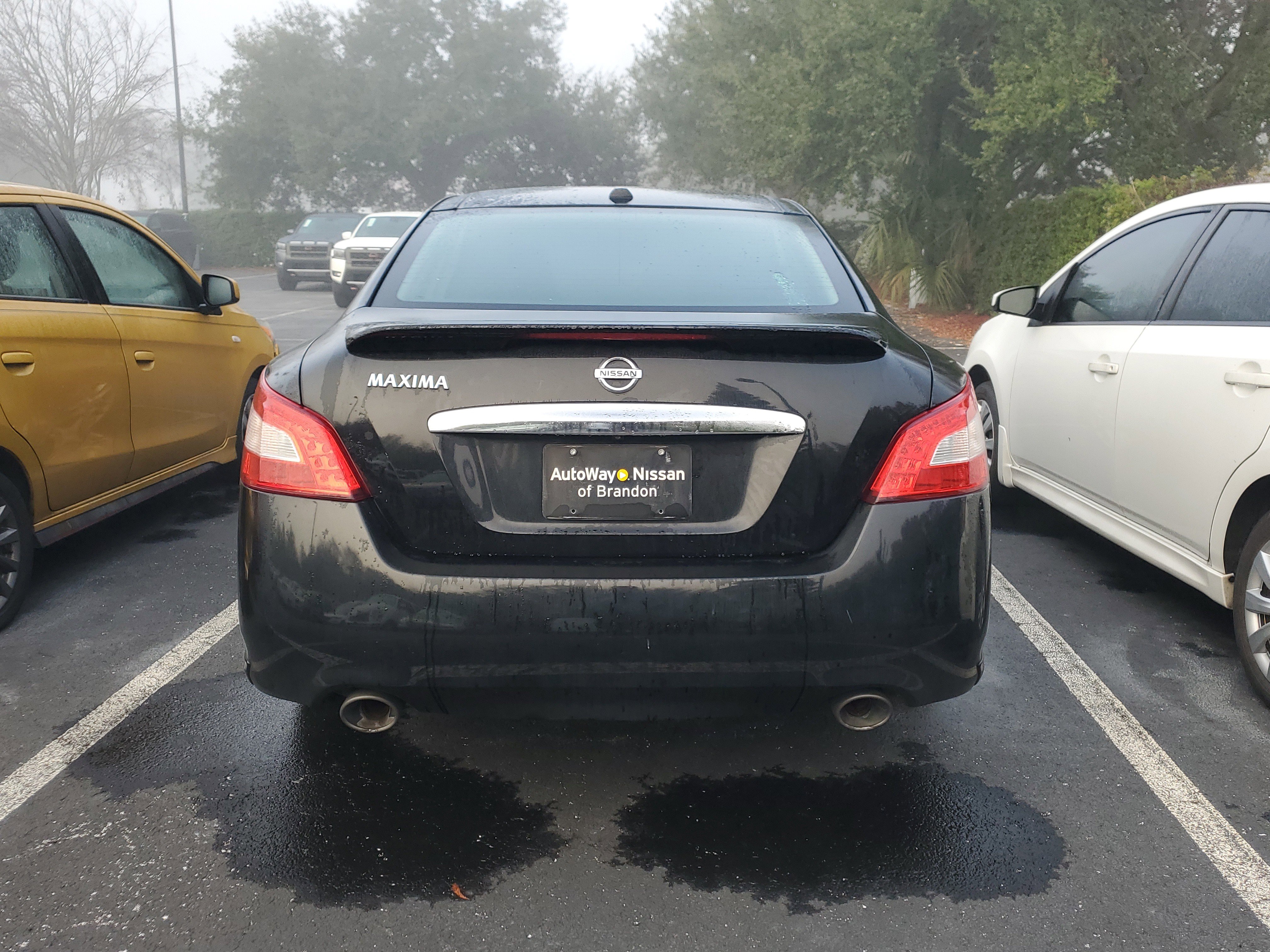 Used 2011 Nissan Maxima 3.5 SV w/ Premium Pkg image 8