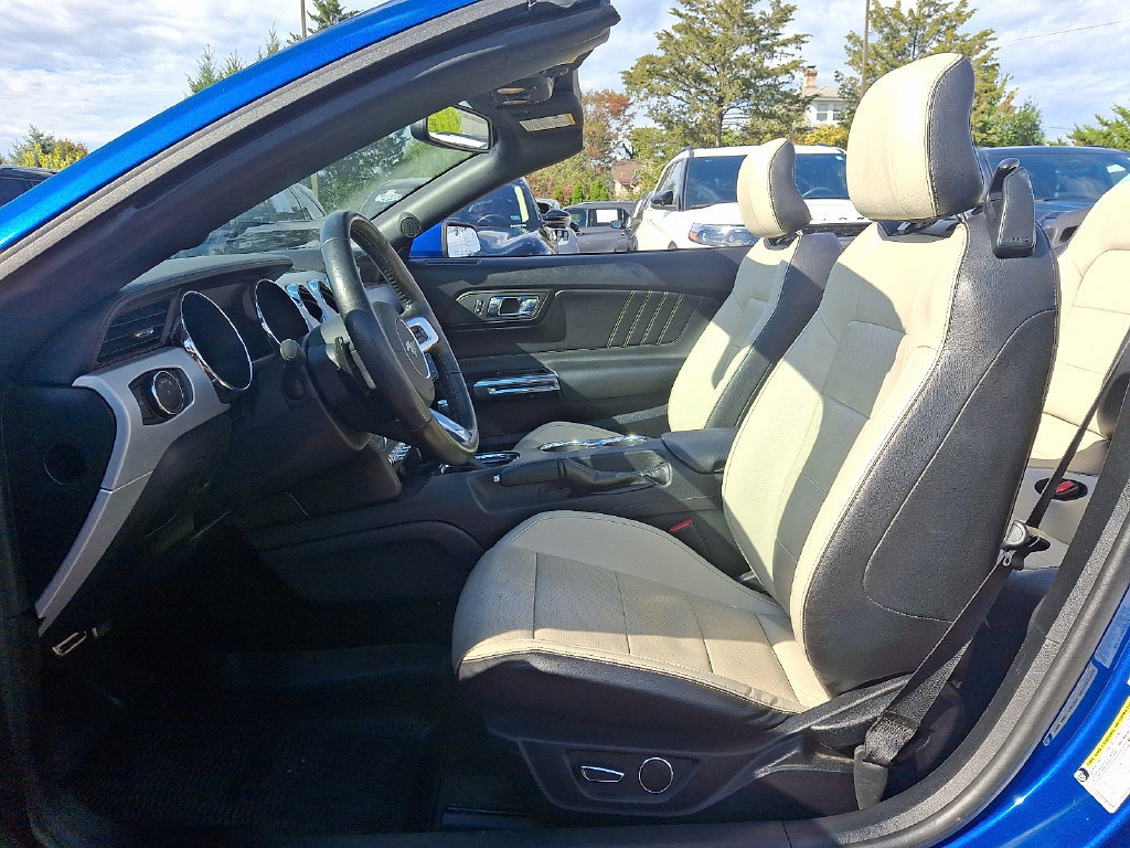 Used 2017 Ford Mustang Premium w/ Equipment Group 201A RWD image 13