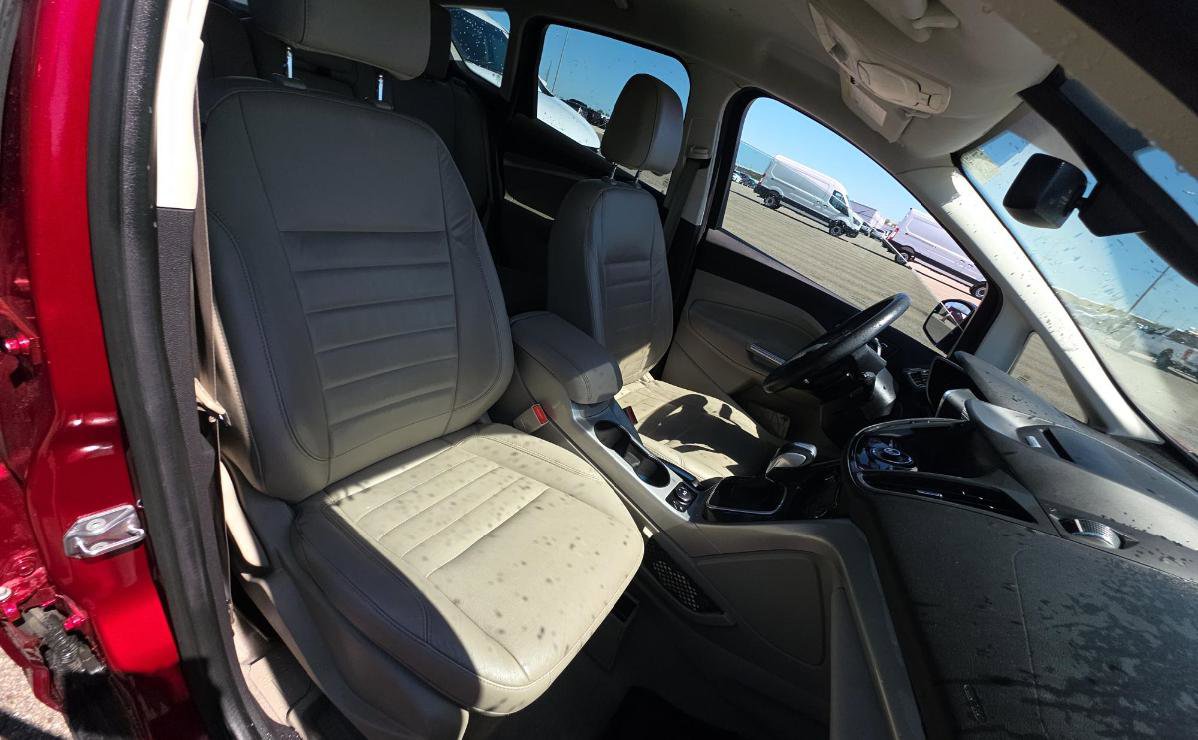 Used 2015 Ford C-MAX Energi SEL w/ Equipment Group 302A image 8