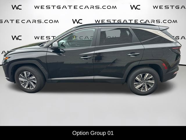 Used 2023 Hyundai Tucson Blue AWD/4WD image 4