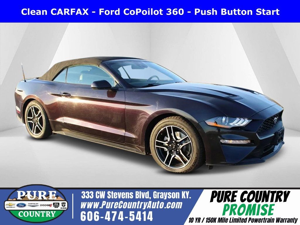 Used 2023 Ford Mustang Premium image 1