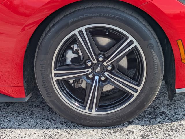 Used 2024 Ford Mustang Premium image 11