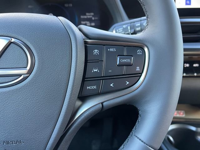 New 2025 Lexus UX 300h AWD w/ Cold Area Package image 24