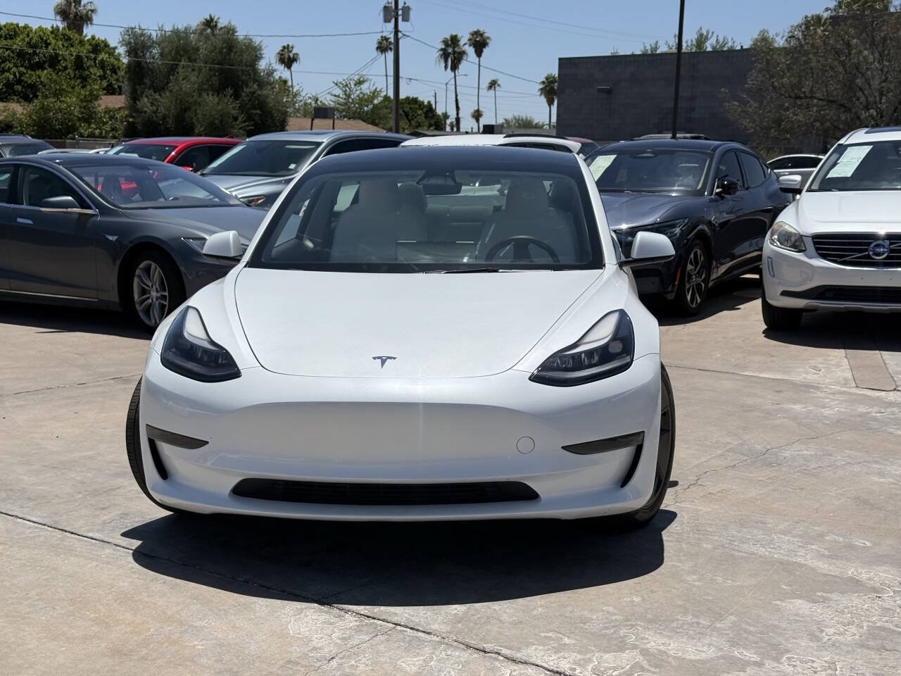 Used 2023 Tesla Model 3 Standard Range RWD image 2