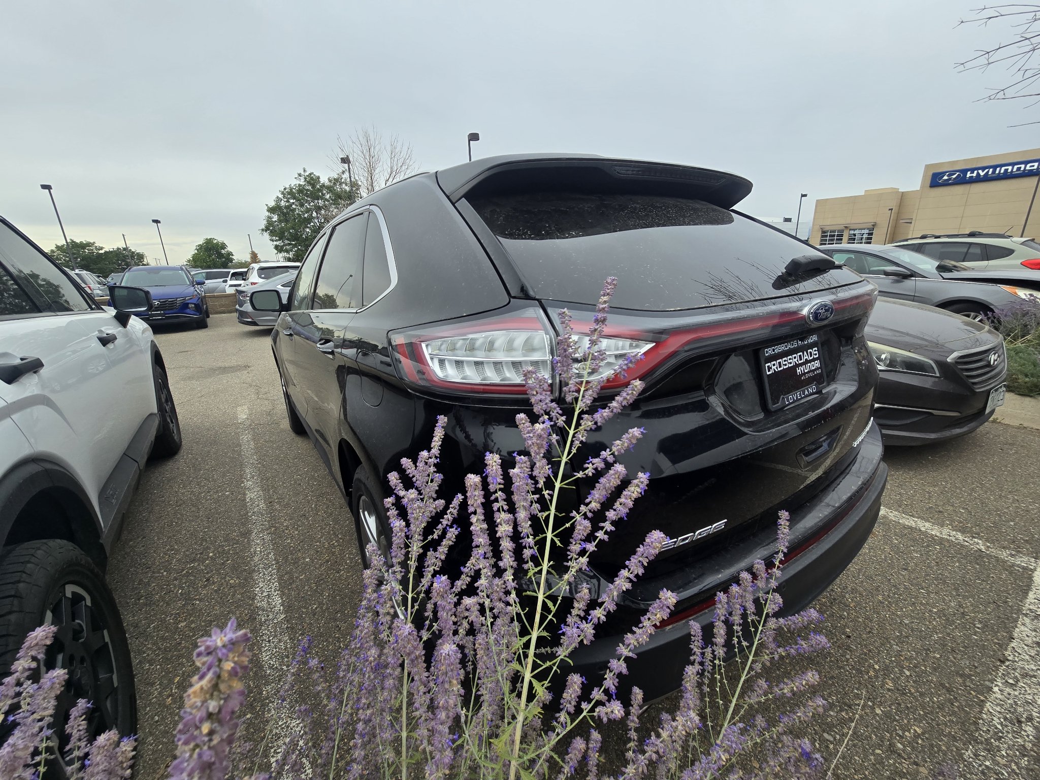 Used 2016 Ford Edge Titanium w/ Technology Package AWD/4WD image 3