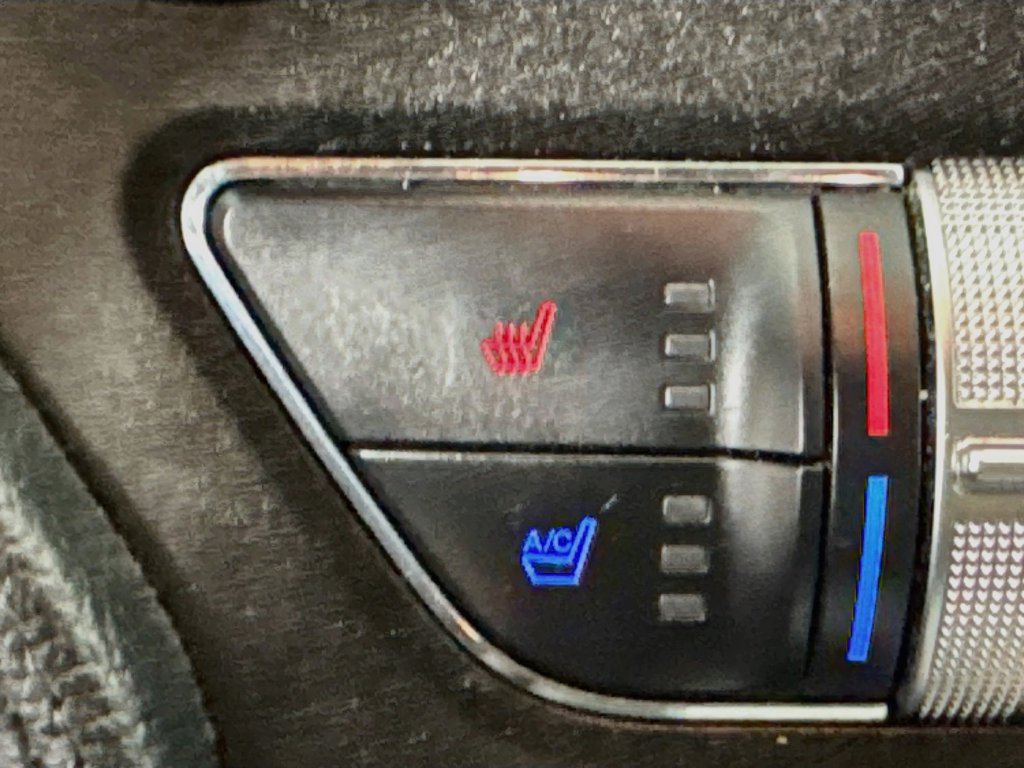 Used 2019 Ford Mustang Premium RWD image 24