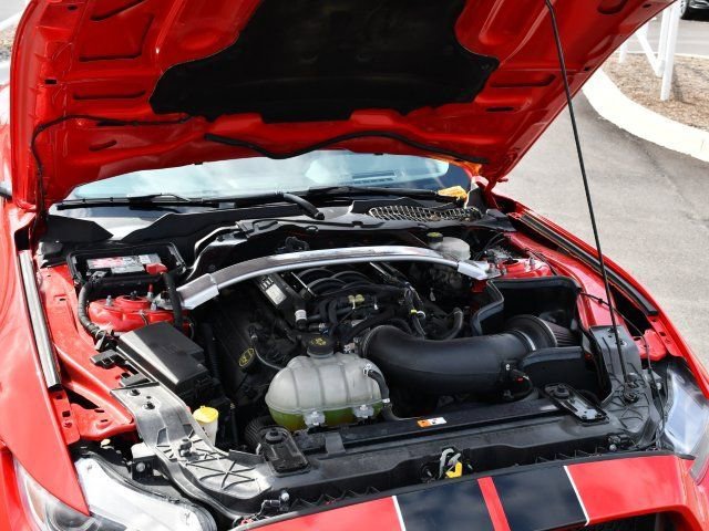 Used 2016 Ford Mustang Shelby GT350 w/ Track Package image 2