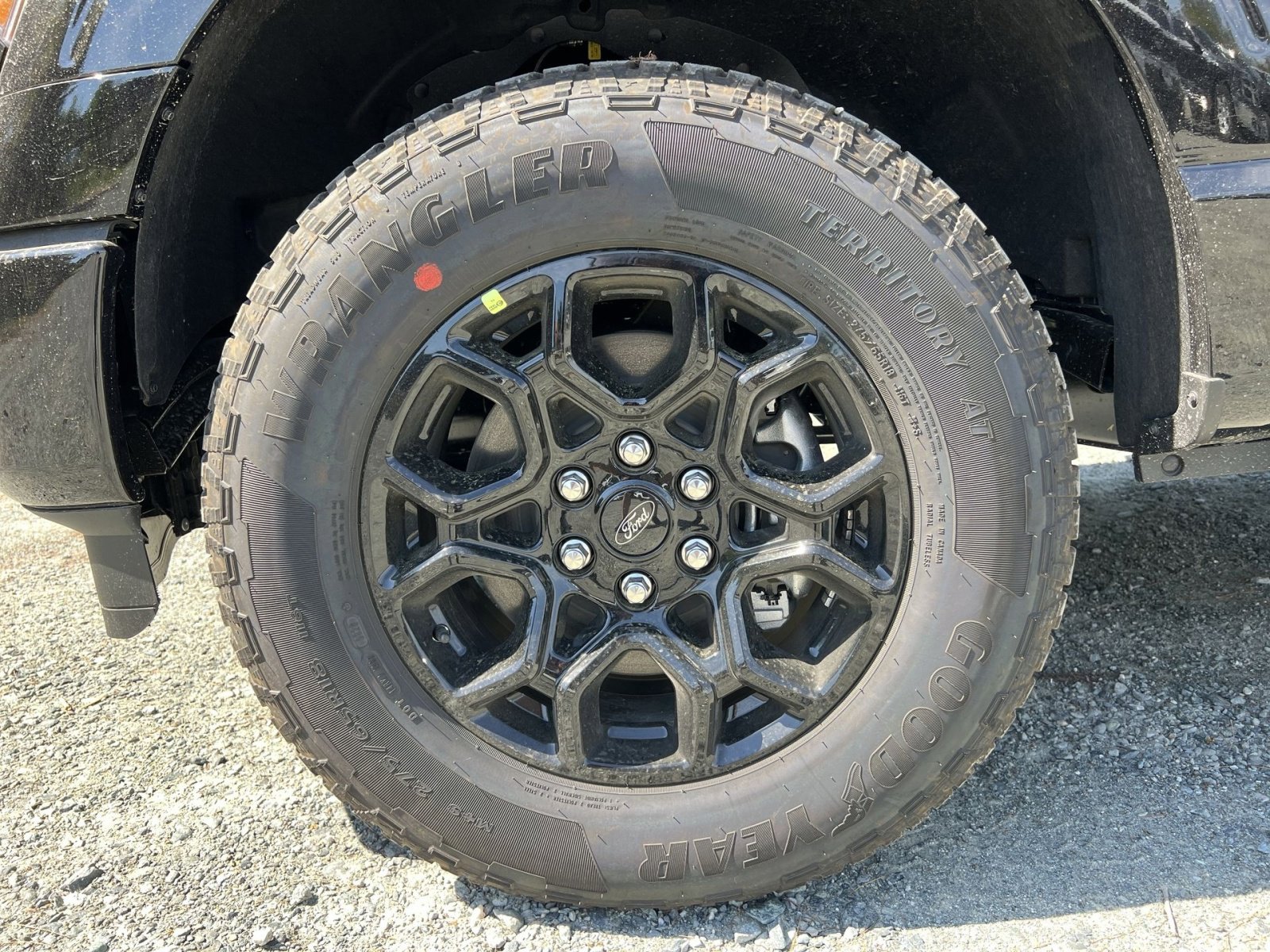New 2026 Ford F150 XLT AWD/4WD image 12