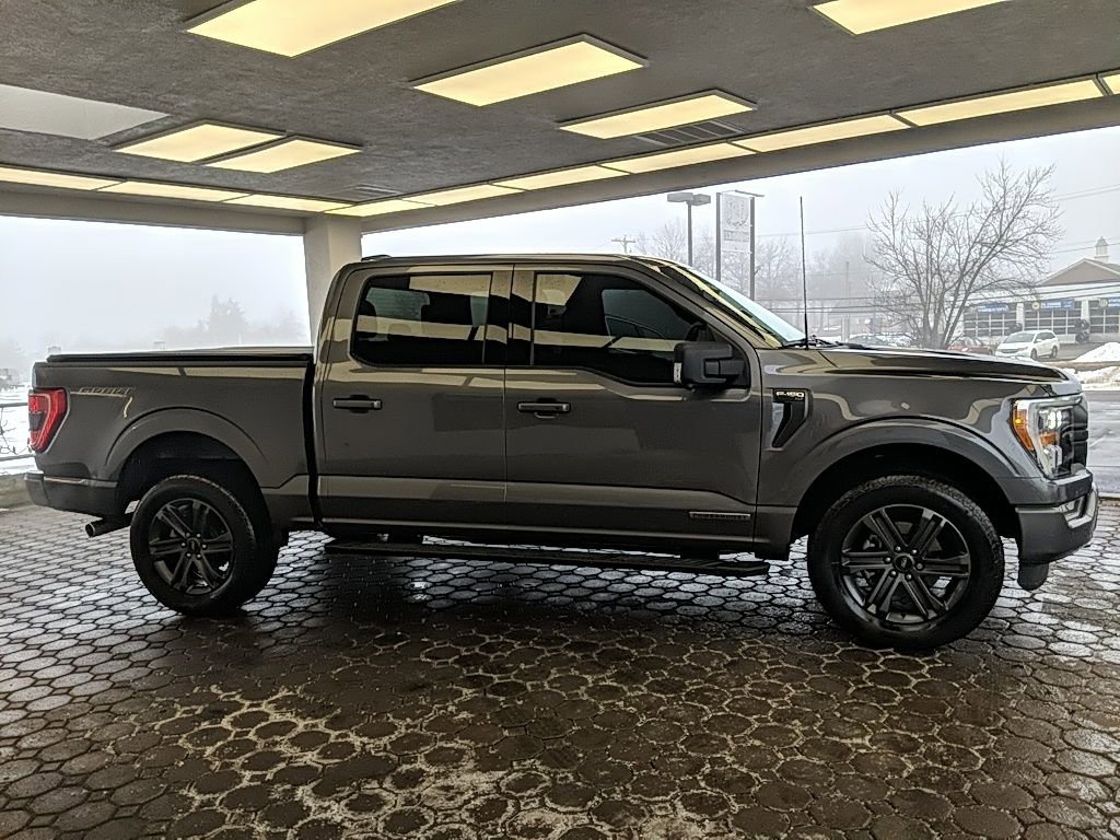 Certified 2023 Ford F150 XLT w/ Equipment Group 302A High image 4