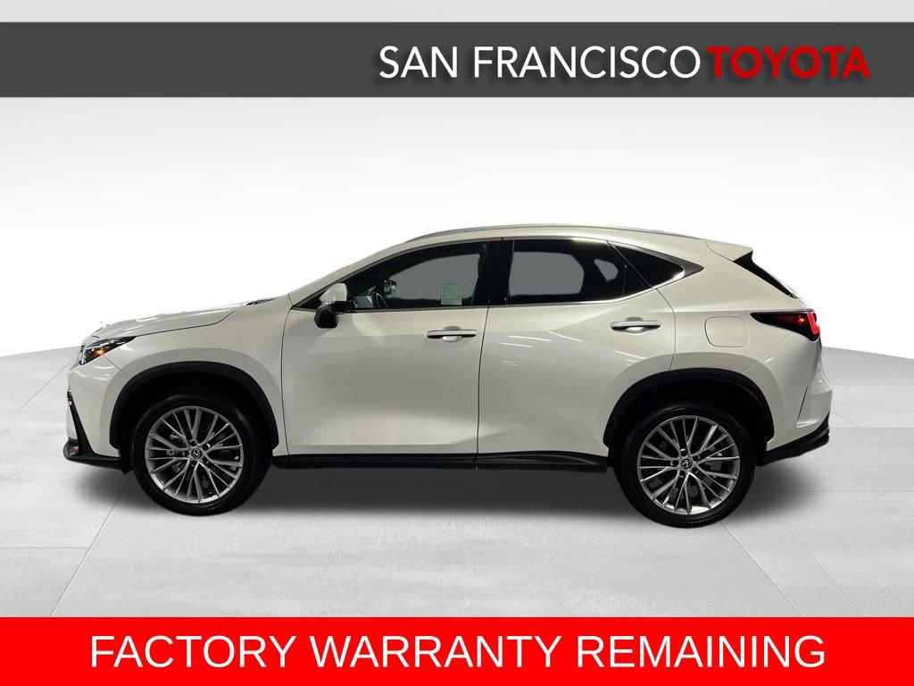 Used 2025 Lexus NX 350 AWD w/ Cold Area Package image 2