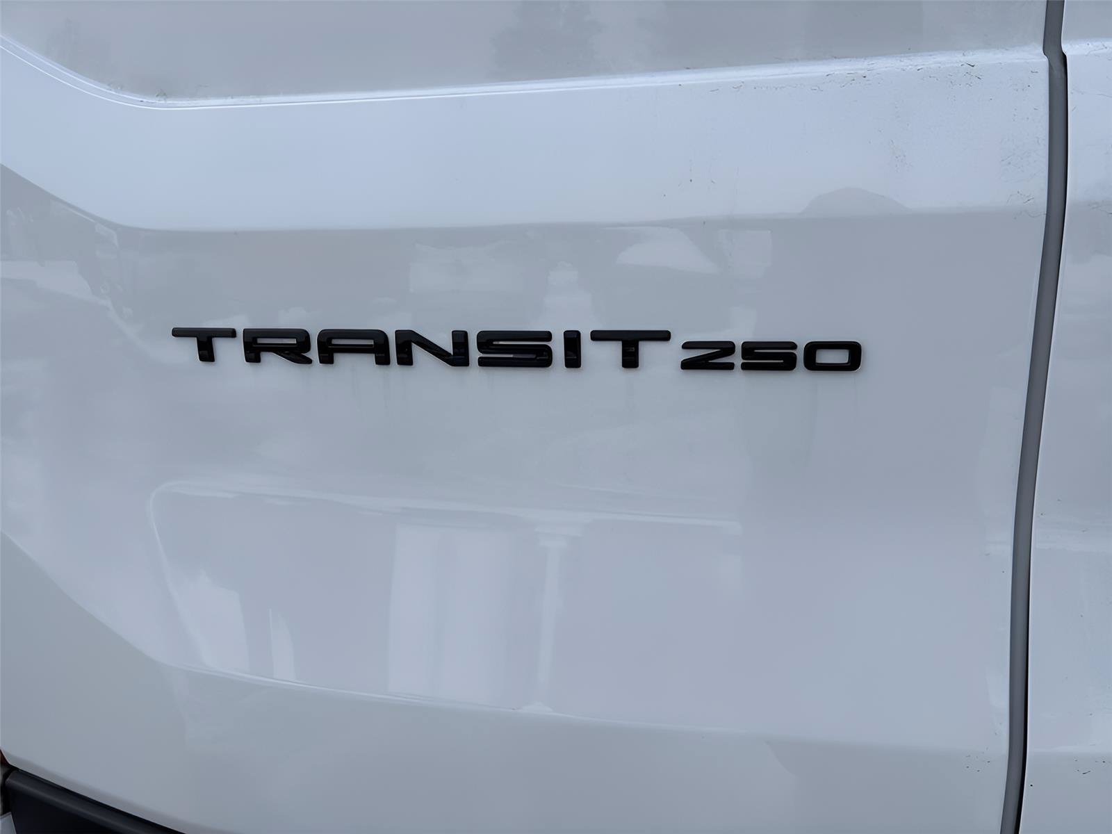 New 2026 Ford Transit 250 148 Medium Roof w/ Load Area Protection Package RWD image 9