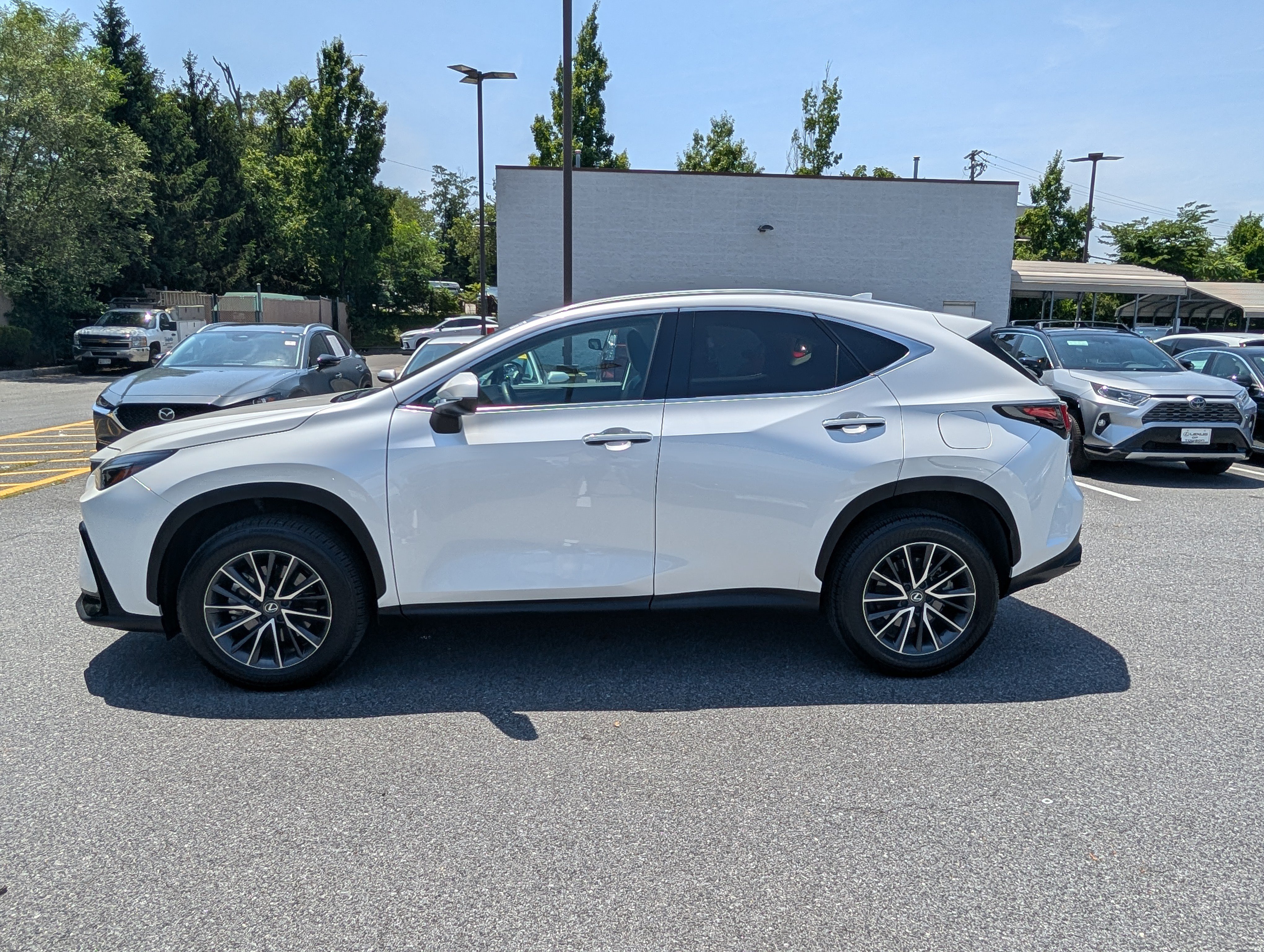 Certified 2025 Lexus NX 350 AWD w/ Cold Area Package image 6