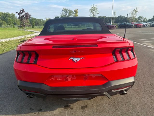 Used 2024 Ford Mustang Premium RWD image 11
