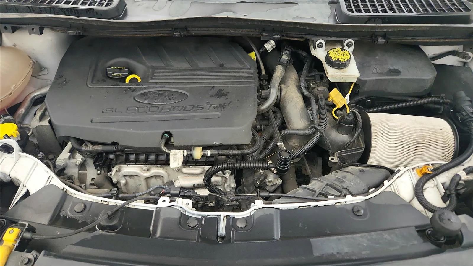 Used 2018 Ford Escape SE image 20