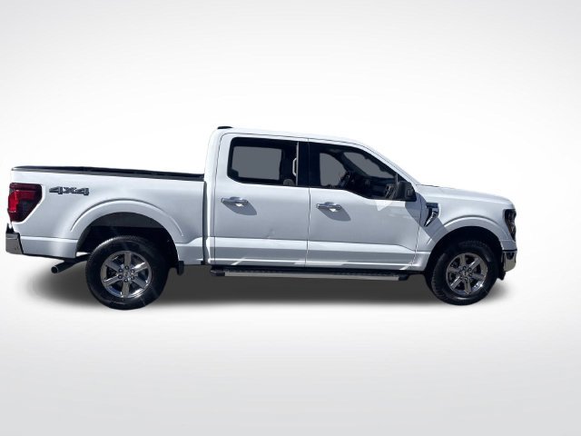 Used 2025 Ford F150 XLT w/ Equipment Group 301A Standard AWD/4WD image 6