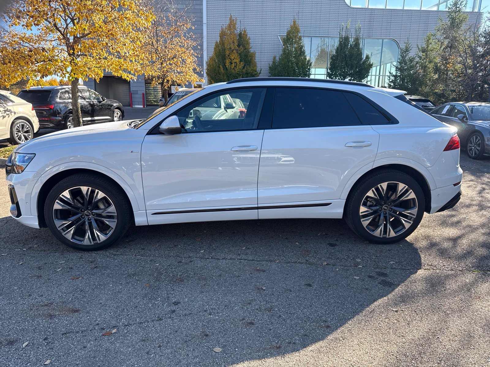 Used 2026 Audi Q8 Premium Plus AWD/4WD image 2