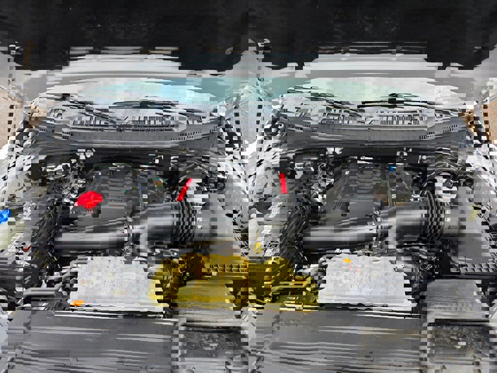 Used 2020 Ford F150 Raptor w/ Equipment Group 802A Luxury image 29