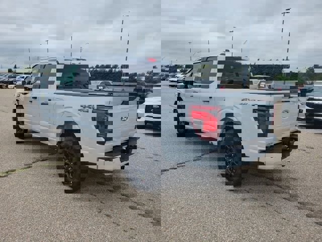 New 2025 Ford F150 STX image 27