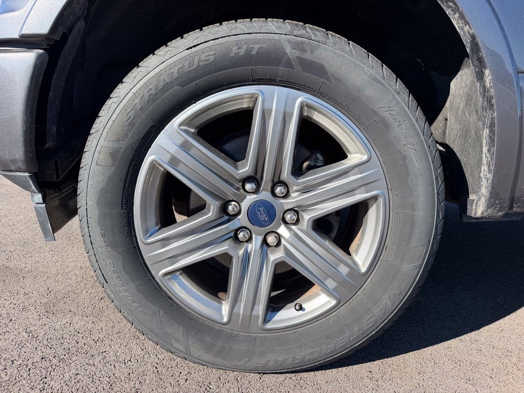Used 2019 Ford F150 XLT w/ Equipment Group 302A Luxury AWD/4WD image 19
