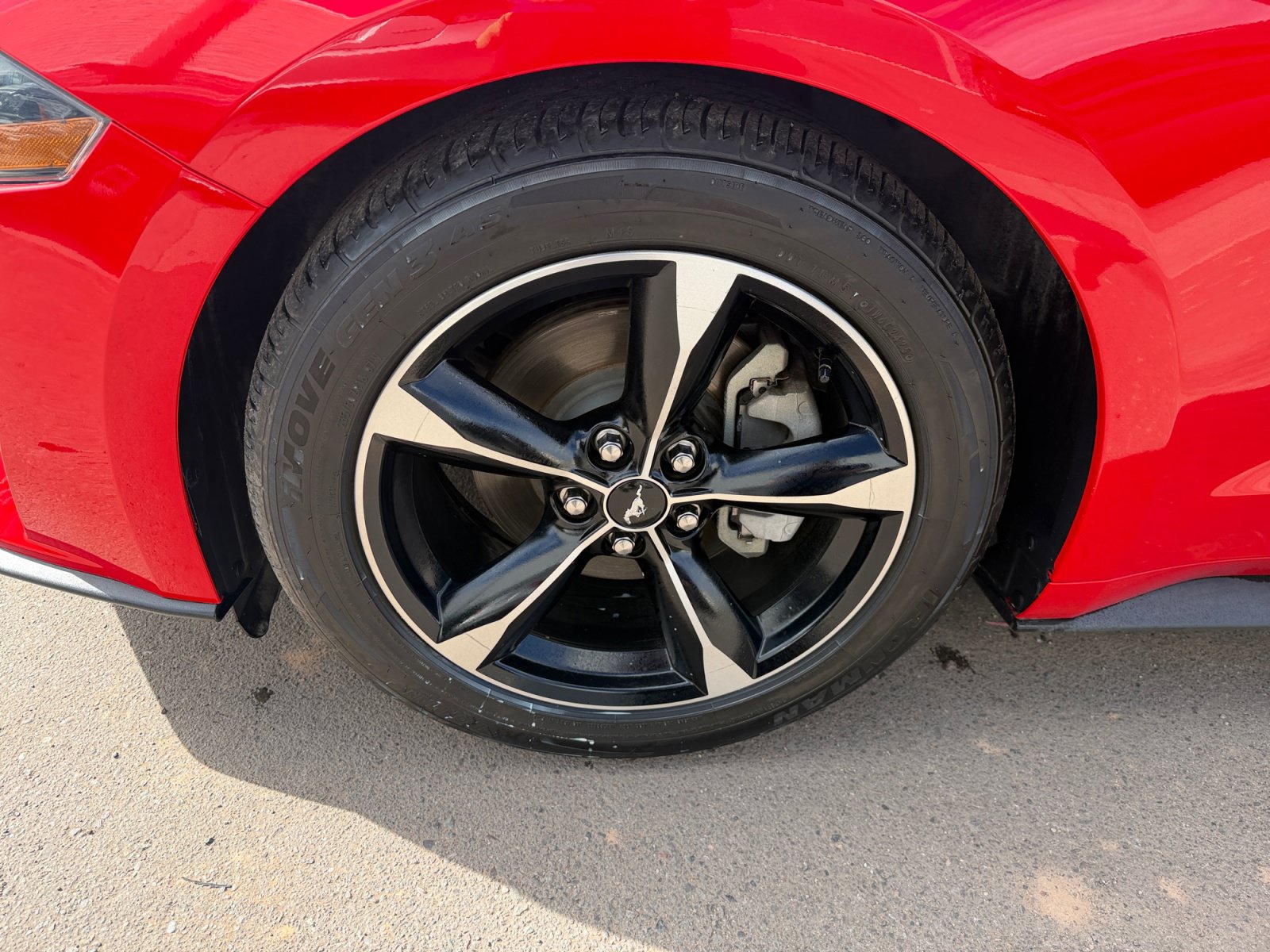 Used 2021 Ford Mustang Coupe RWD image 11