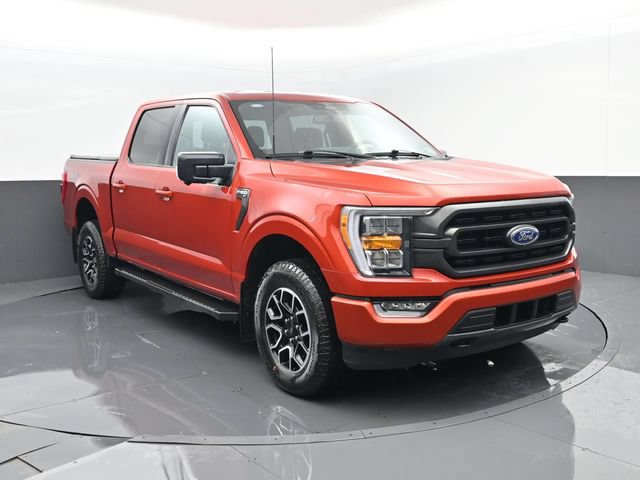 Used 2023 Ford F150 XLT w/ Equipment Group 302A High AWD/4WD image 3