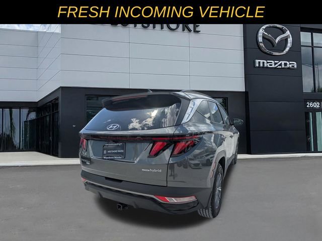 Used 2024 Hyundai Tucson Blue AWD/4WD image 3