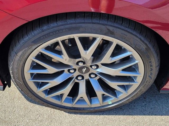 New 2025 Ford Mustang Premium image 11