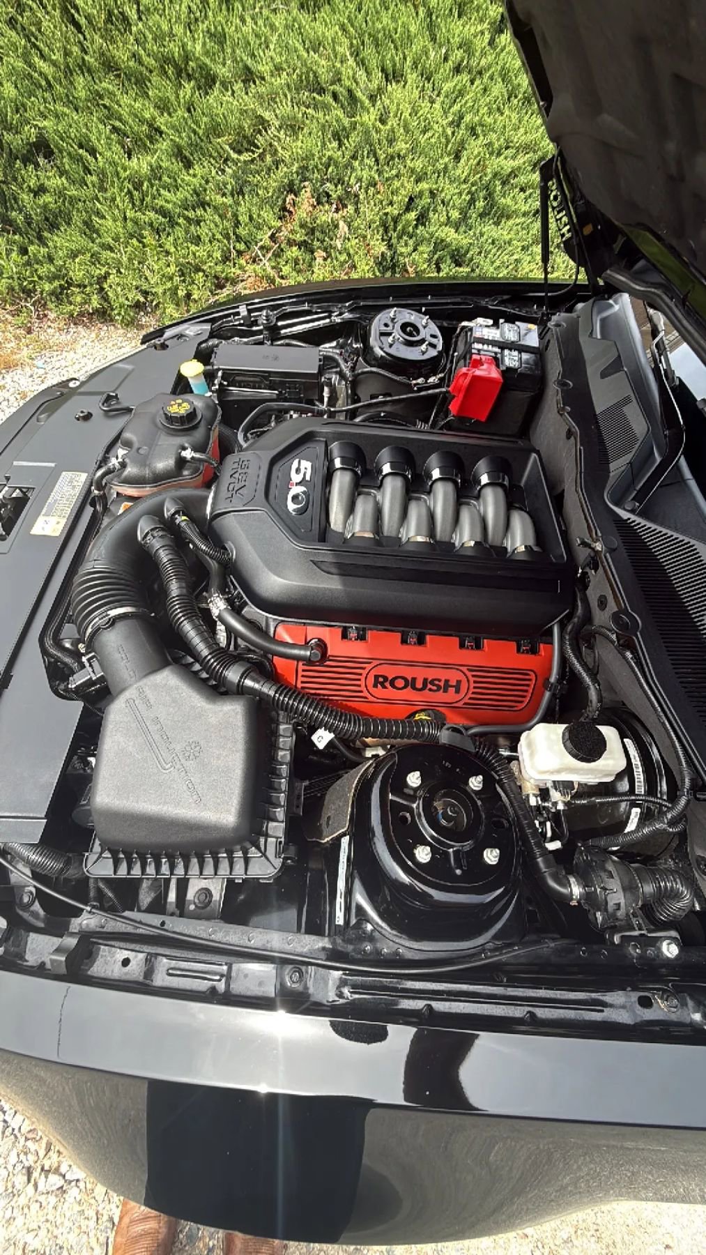 Used 2012 Ford Mustang GT Premium w/ HID Headlamps & Security Pkg RWD image 17