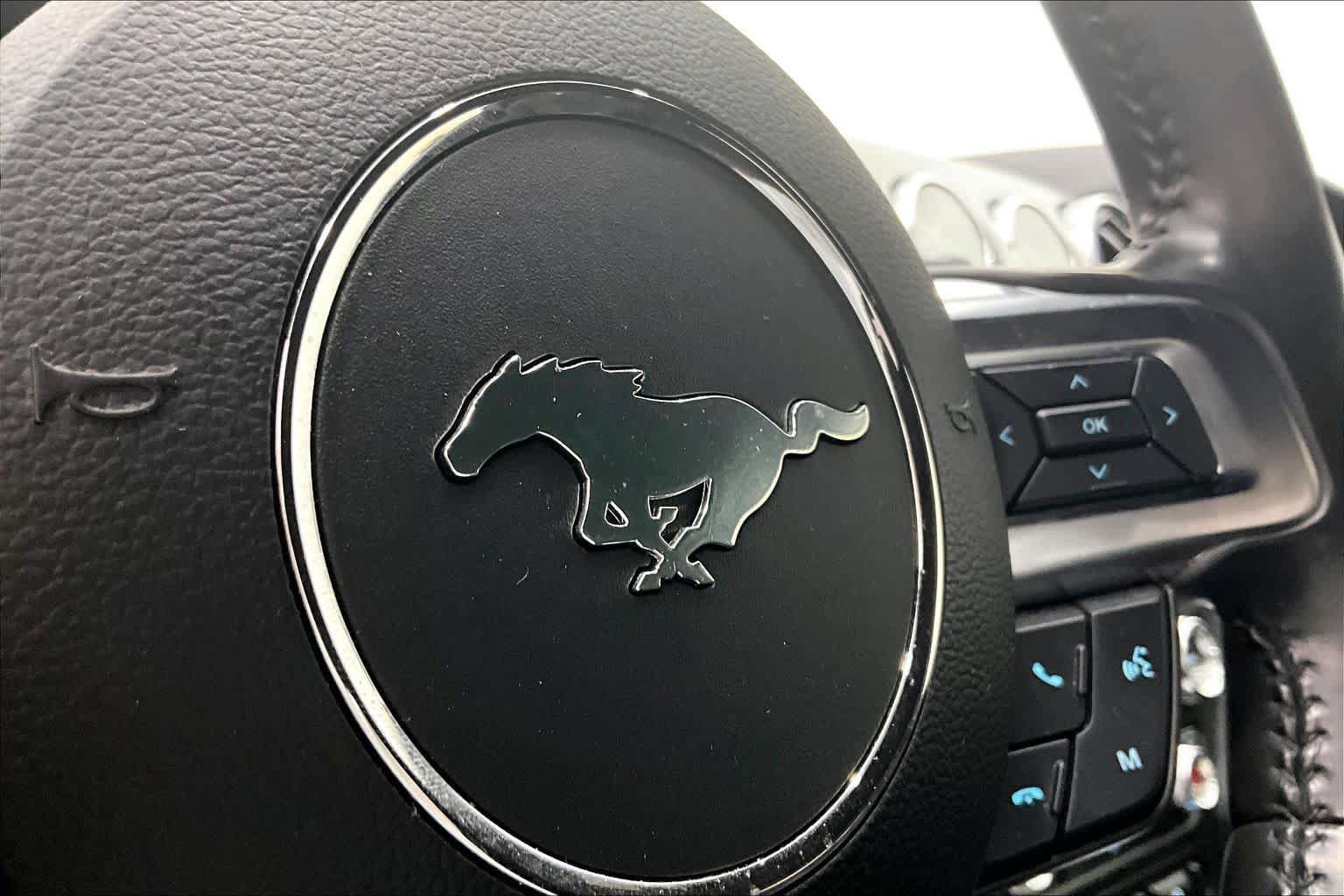 Used 2019 Ford Mustang GT w/ GT Performance Package RWD image 10
