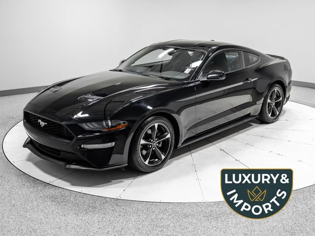 Used 2018 Ford Mustang Coupe w/ Equipment Group 101A RWD image 1