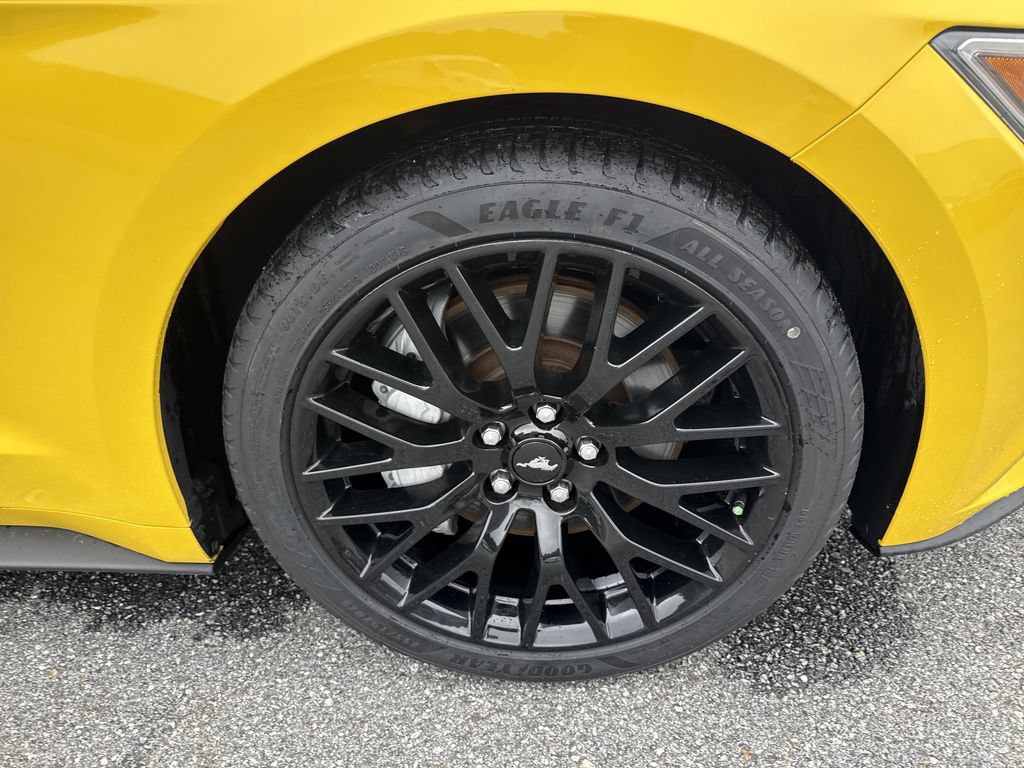 Used 2017 Ford Mustang GT Premium RWD image 13