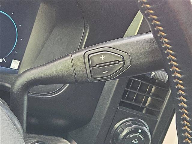 Used 2024 Ford F250 Platinum w/ Tremor Off-Road Package AWD/4WD image 12