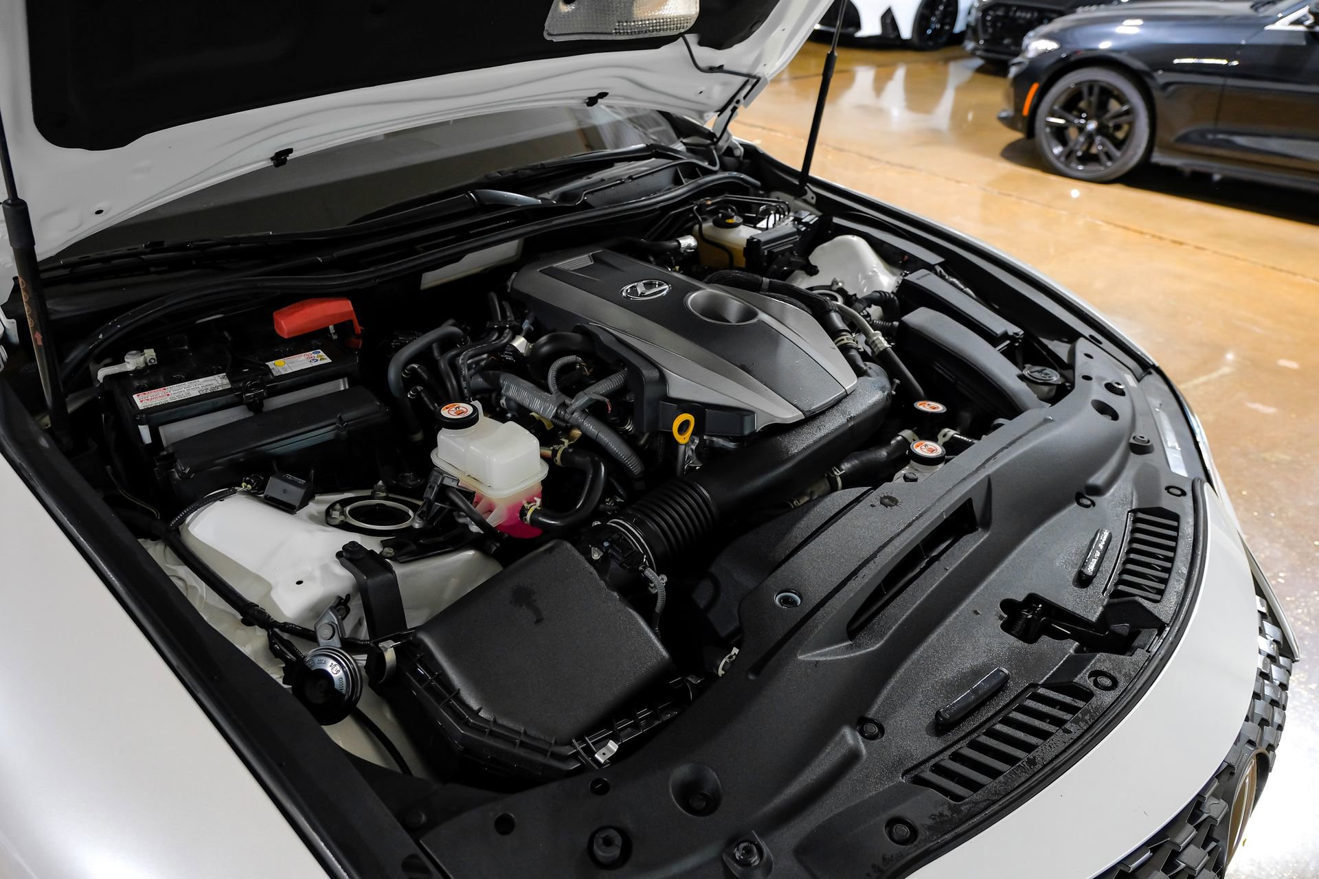 Used 2024 Lexus IS 300 w/ Comfort Package image 57