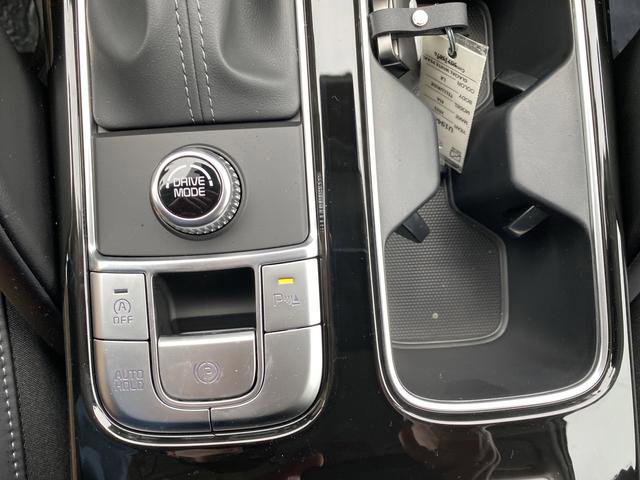 New 2025 Kia Telluride LX image 22