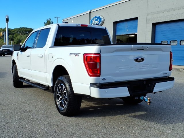 Used 2023 Ford F150 XLT w/ Equipment Group 302A High AWD/4WD image 3