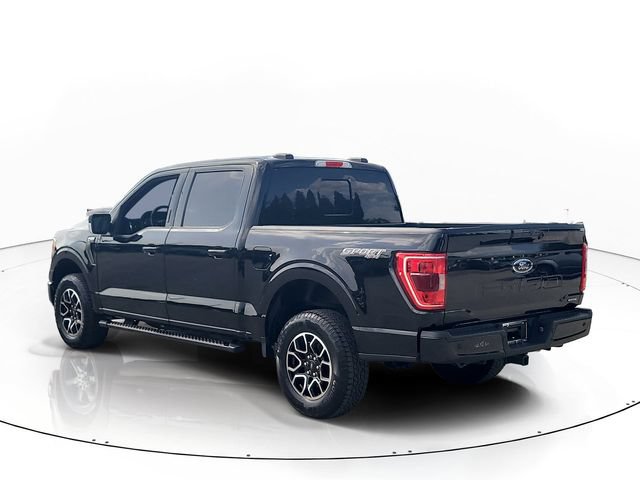 Used 2023 Ford F150 XLT w/ Equipment Group 302A High AWD/4WD image 7