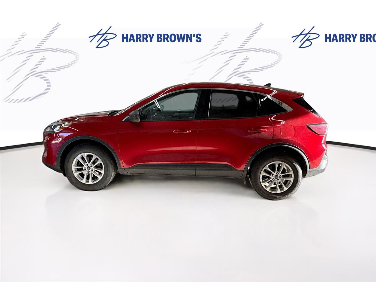 Used 2022 Ford Escape SE w/ Cold Weather Package image 8