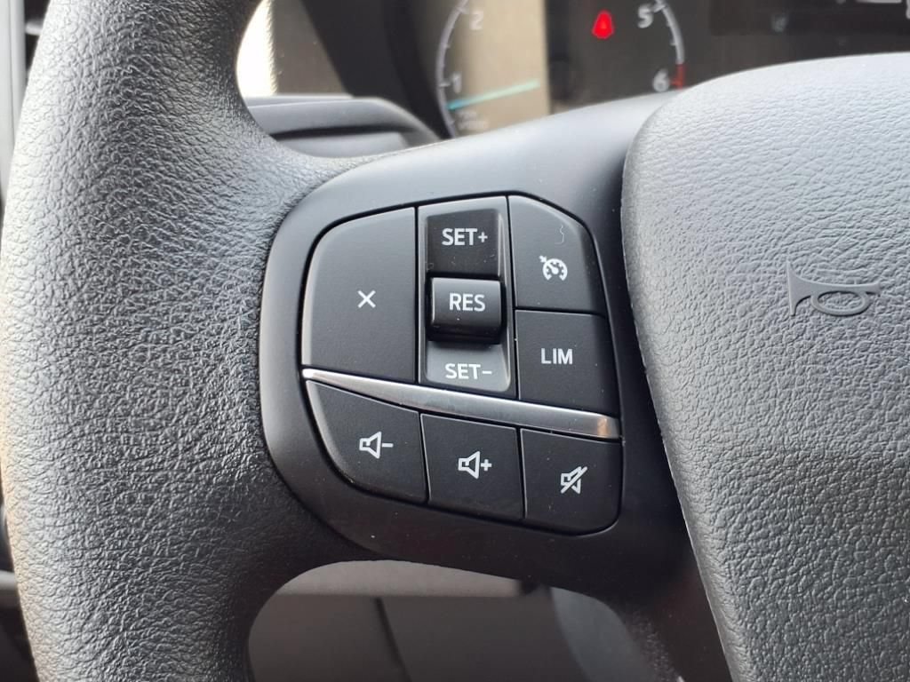 New 2025 Ford Transit 250 Low Roof w/ Load Area Protection Package RWD image 24