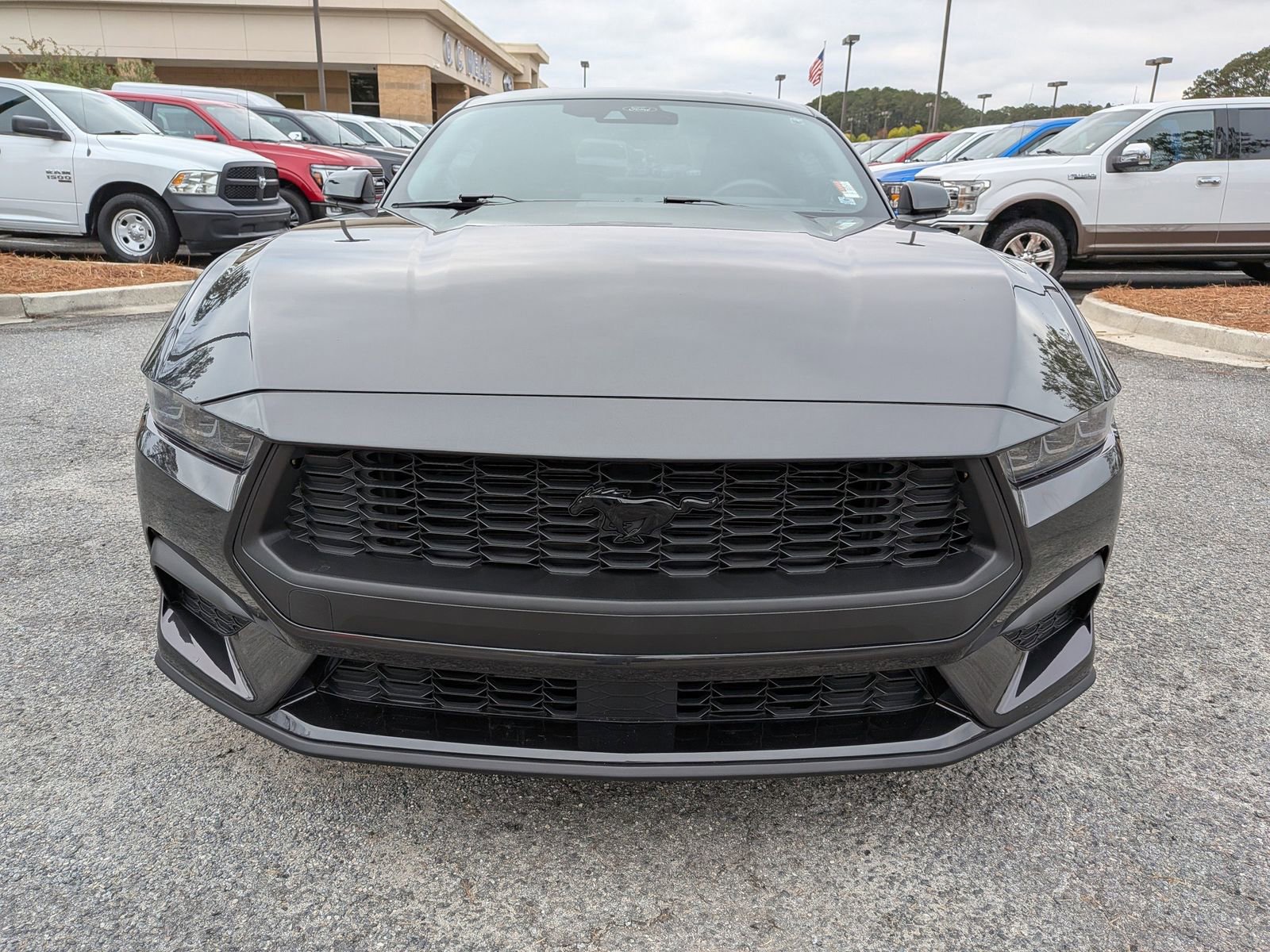 Certified 2024 Ford Mustang Premium image 8