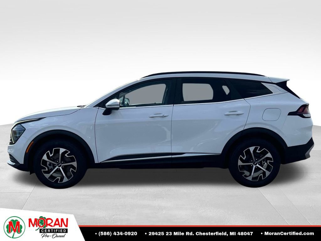 Used 2025 Kia Sportage EX w/ Premium Package AWD/4WD image 2