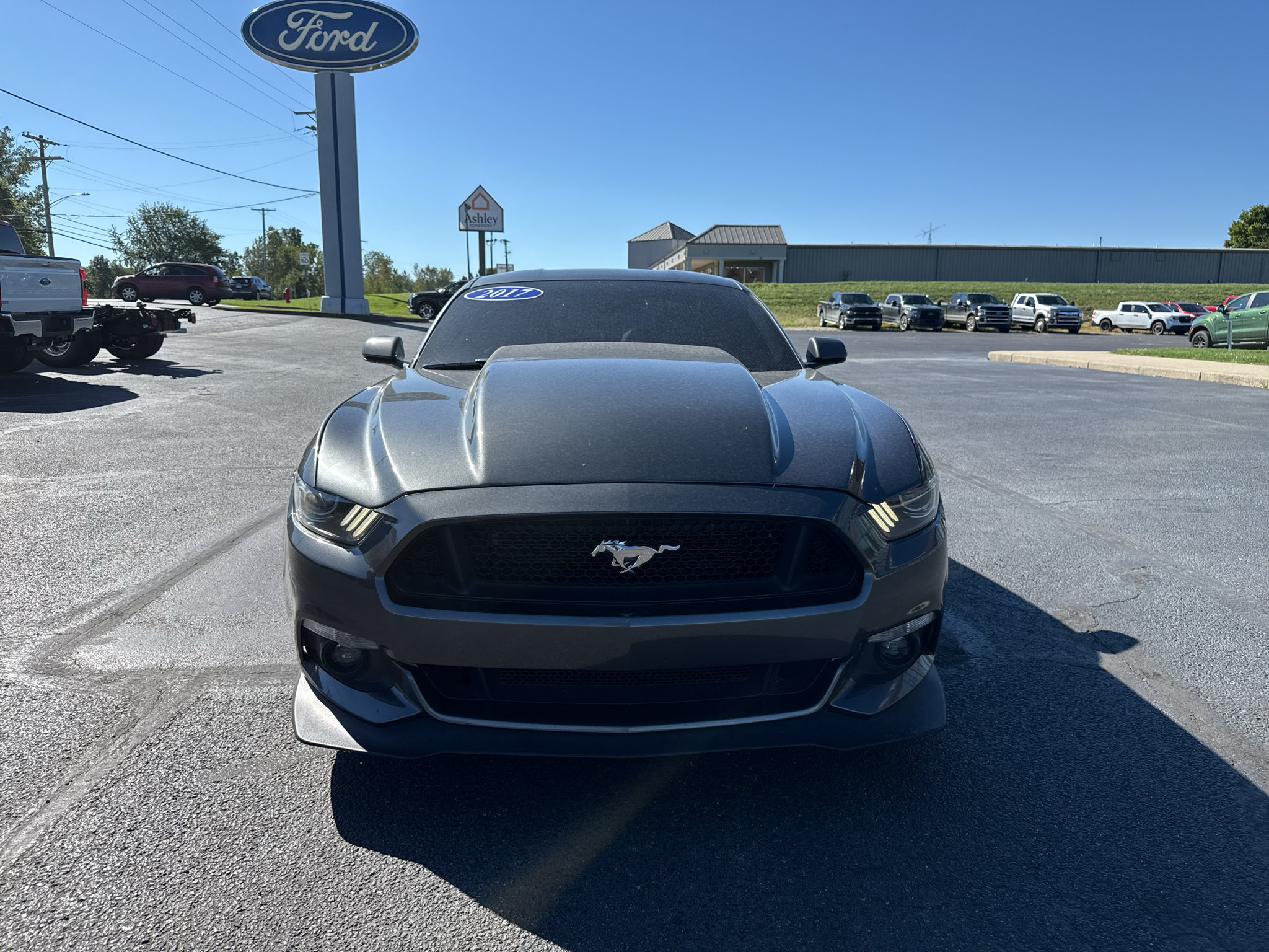 Used 2017 Ford Mustang GT Premium w/ Black Accent Package RWD image 3